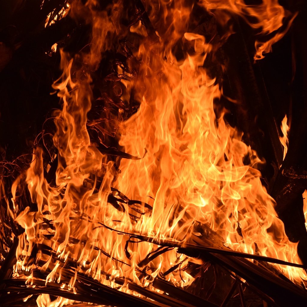 Обои пламя, огонь, костёр, flame, fire, the fire разрешение 6000x4000 Загрузить