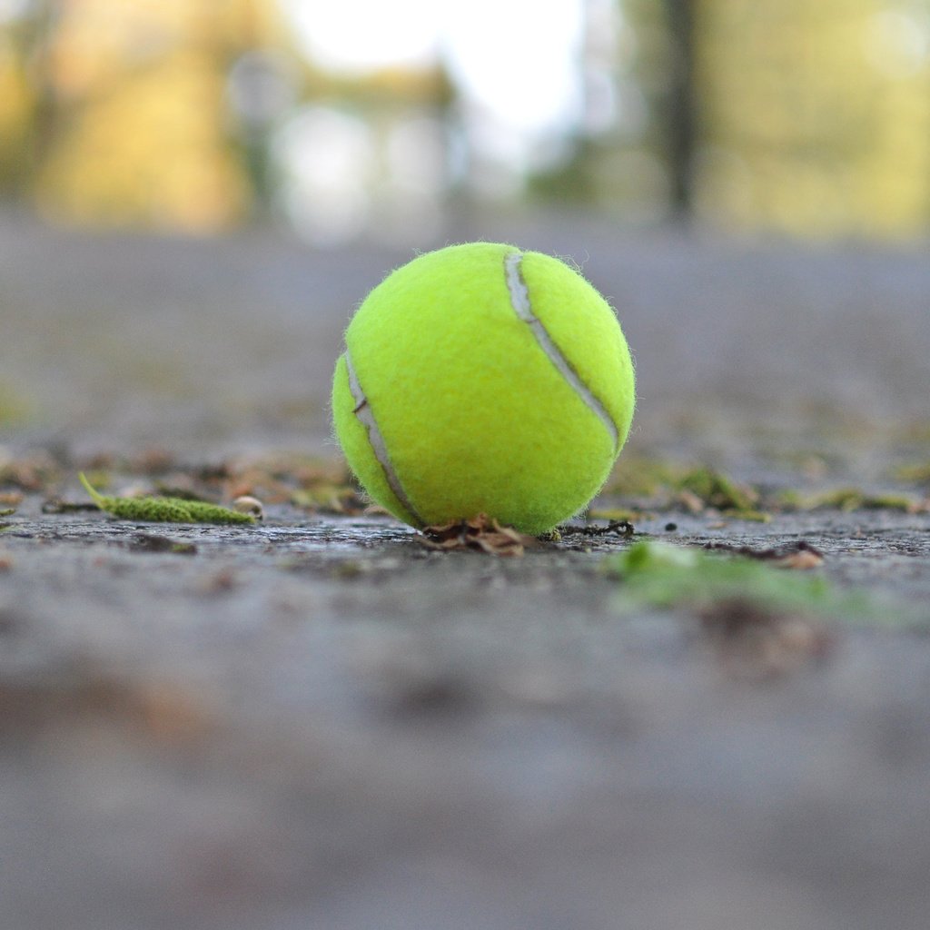 Обои макро, мяч, теннис, теннисный мяч, macro, the ball, tennis, tennis ball разрешение 2880x1800 Загрузить