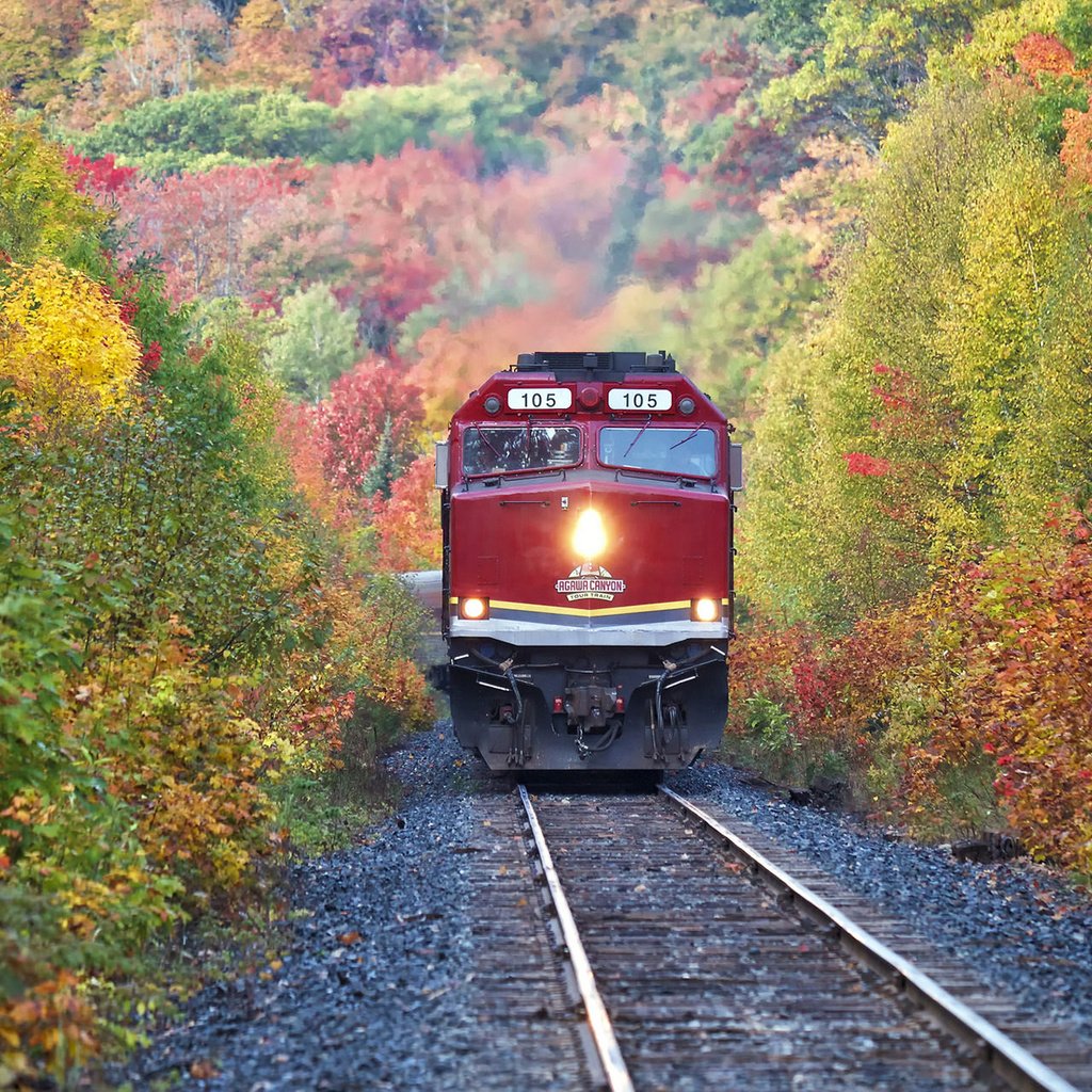 Обои деревья, железная дорога, лес, осень, поезд, trees, railroad, forest, autumn, train разрешение 1920x1200 Загрузить
