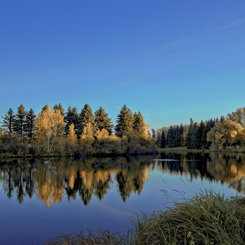 Обои небо, деревья, река, природа, лес, отражение, пейзаж, diego lapetina, the sky, trees, river, nature, forest, reflection, landscape разрешение 1920x1200 Загрузить