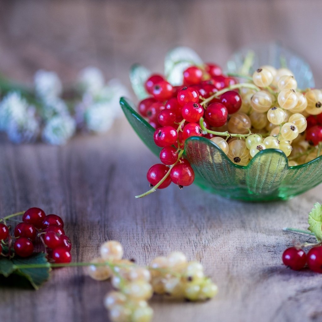 Обои ягоды, листики, вкусно, смородина, спелые, веточки, berries, leaves, delicious, currants, ripe, twigs разрешение 2048x1230 Загрузить