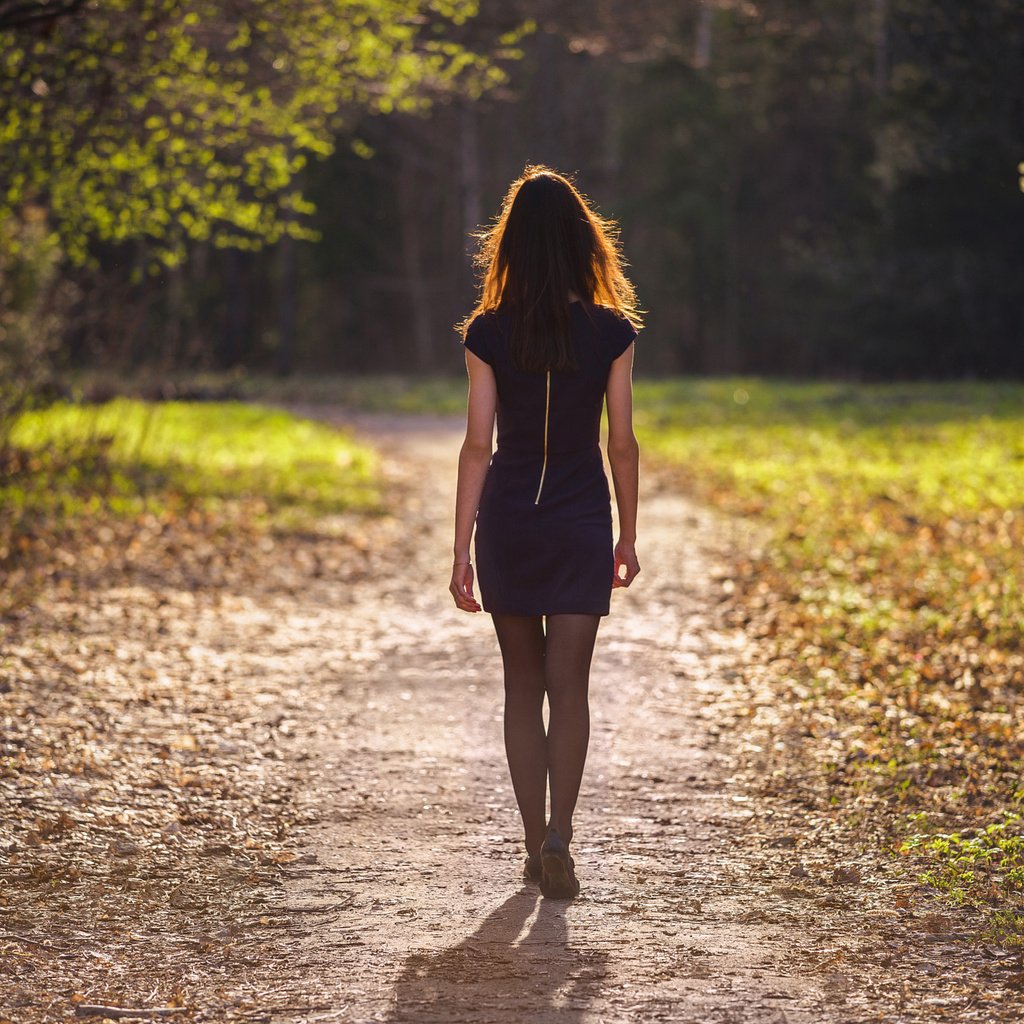 Обои деревья, девушка, тропинка, спина, прогулка, черное платье, trees, girl, path, back, walk, black dress разрешение 2048x1367 Загрузить