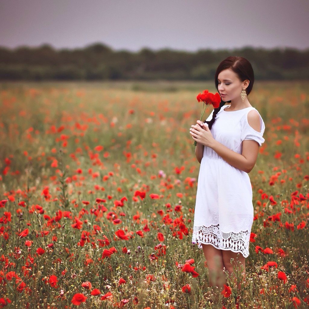 Обои девушка, платье, поле, красные, маки, руки, белое платье, girl, dress, field, red, maki, hands, white dress разрешение 2048x1364 Загрузить