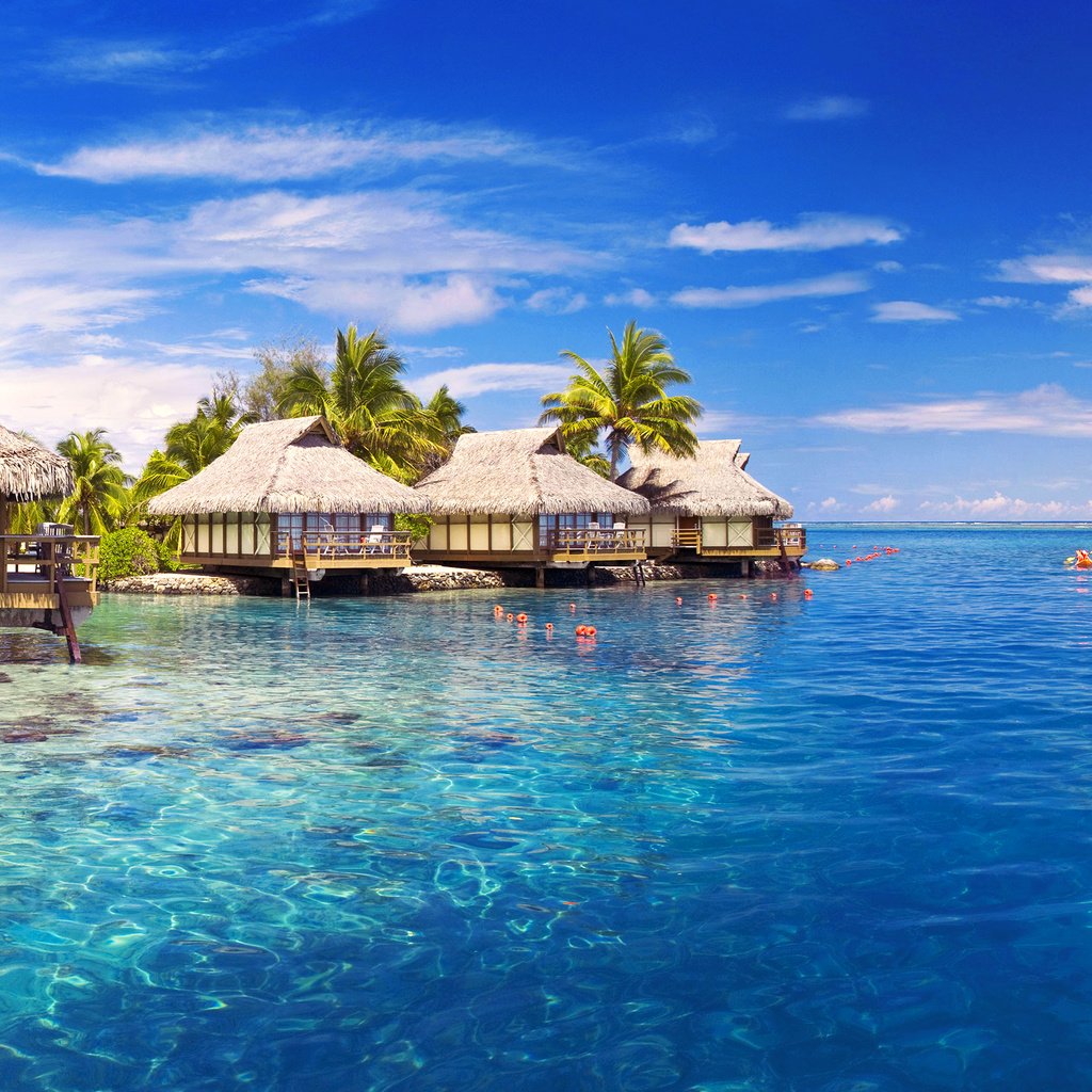 Обои море, бунгало, тропики, sea, bungalow, tropics разрешение 4000x1684 Загрузить