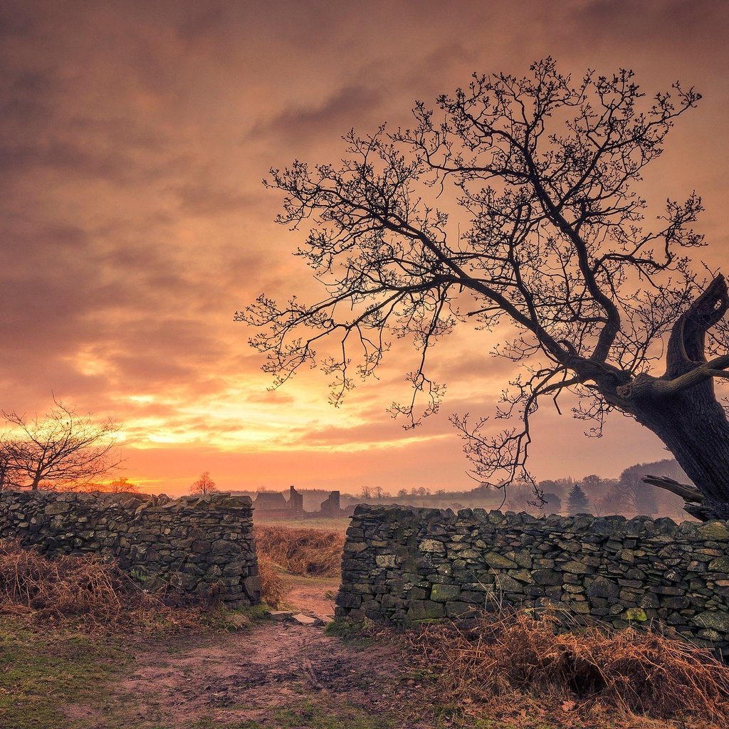 Обои облака, дерево, закат, забор, англия, брадгейт парк, clouds, tree, sunset, the fence, england, bradgate park разрешение 2048x1265 Загрузить