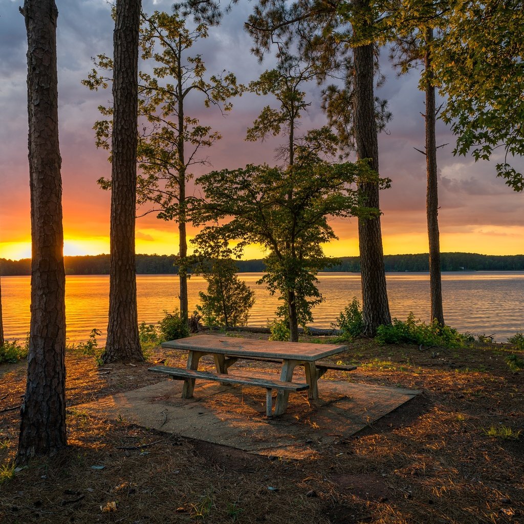 Обои деревья, озеро, берег, лес, закат, стволы, скамейка, trees, lake, shore, forest, sunset, trunks, bench разрешение 2048x1366 Загрузить