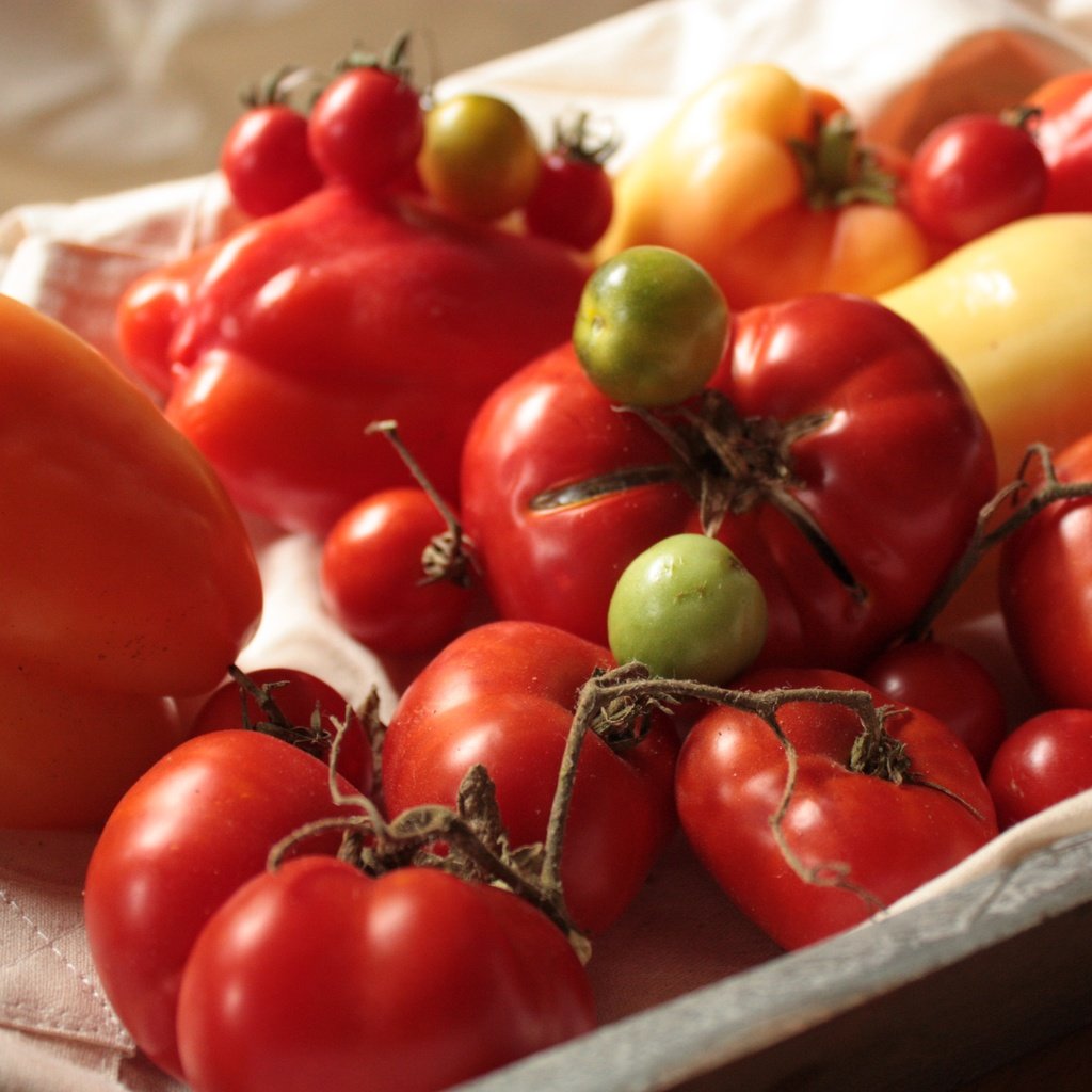 Обои овощи, помидоры, перец, томаты, болгарский, сладкий перец, vegetables, tomatoes, pepper, bulgarian, sweet pepper разрешение 4272x2848 Загрузить