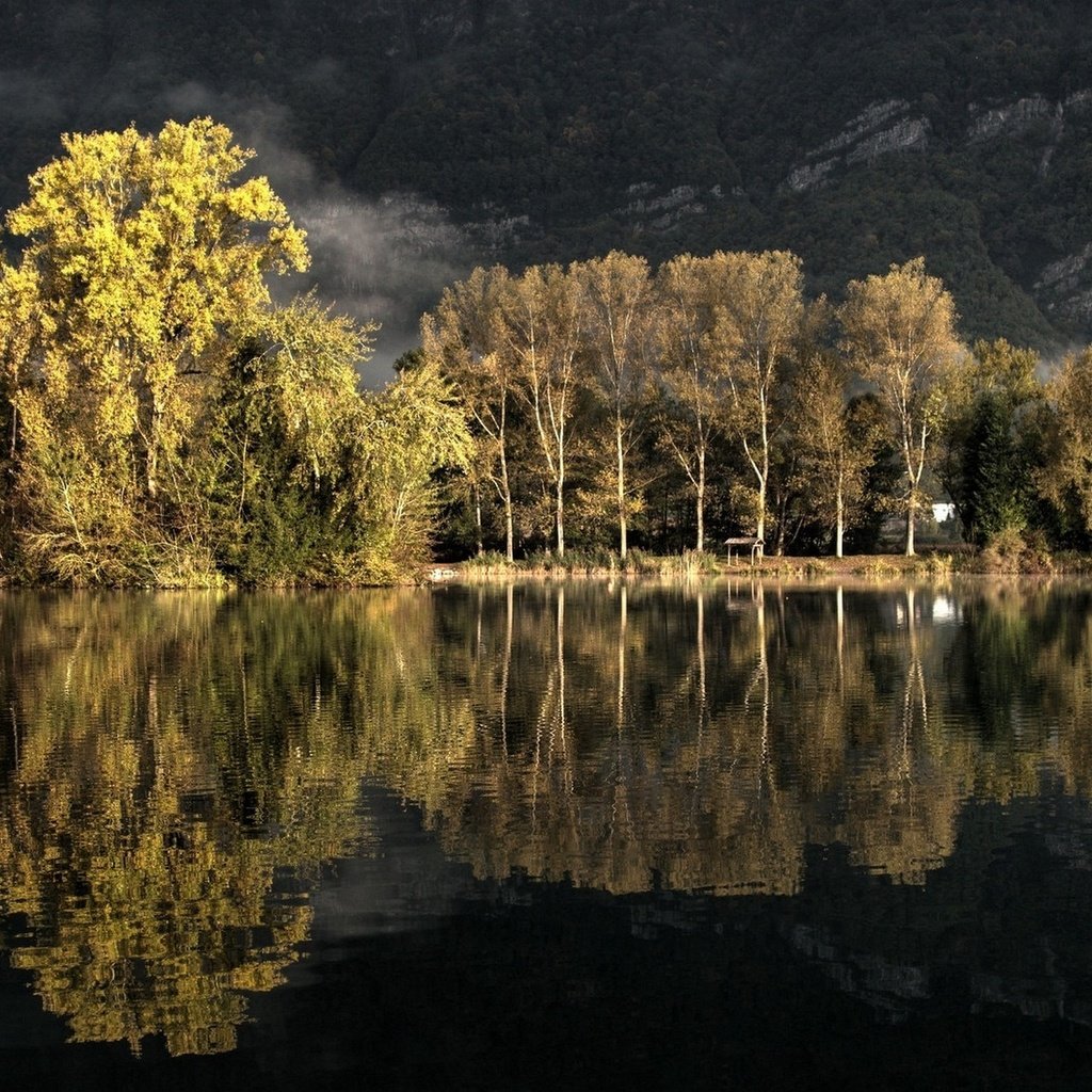 Обои деревья, озеро, природа, лес, отражение, пейзаж, осень, trees, lake, nature, forest, reflection, landscape, autumn разрешение 1920x1280 Загрузить