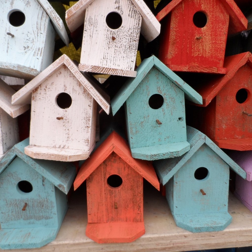 Обои домики, крыша, скворечник, птичьи домики, скворечники, houses, roof, birdhouse, bird houses, birdhouses разрешение 1920x1440 Загрузить