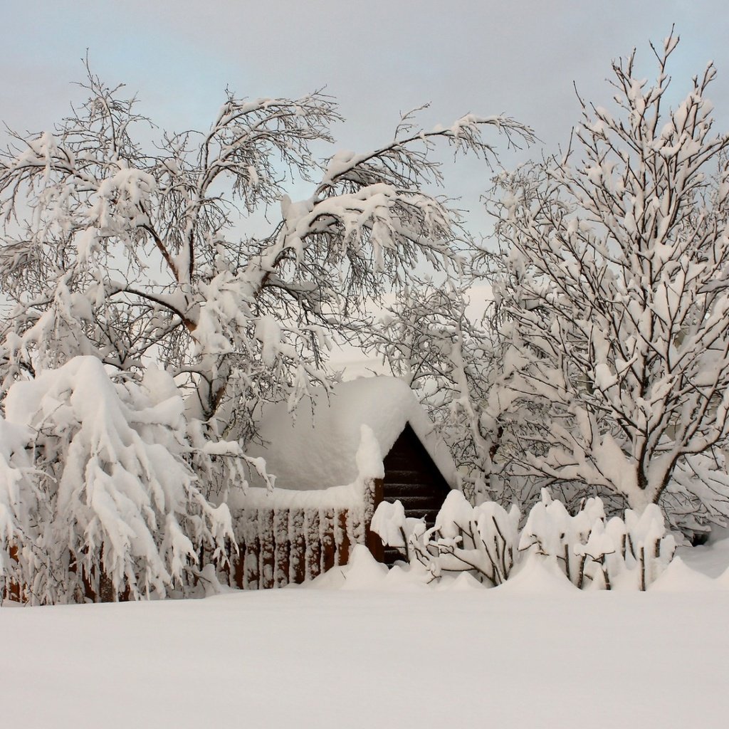 Обои деревья, снег, природа, зима, деревня, домик, trees, snow, nature, winter, village, house разрешение 1920x1200 Загрузить