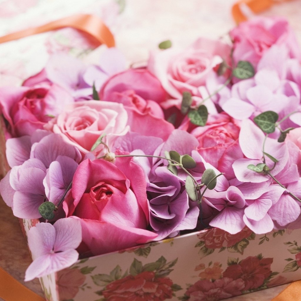 Обои цветы, розы, лепестки, лента, подарок, коробка, flowers, roses, petals, tape, gift, box разрешение 2560x1600 Загрузить