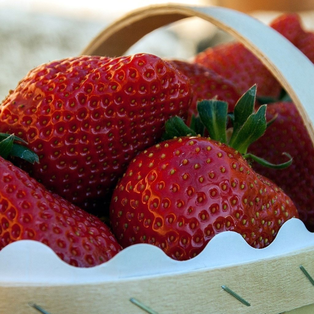 Обои клубника, ягоды, корзинка, strawberry, berries, basket разрешение 2560x1420 Загрузить