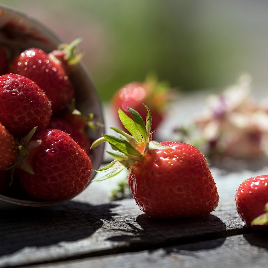 Обои клубника, тень, ягоды, деревянная поверхность, strawberry, shadow, berries, wooden surface разрешение 2048x1332 Загрузить