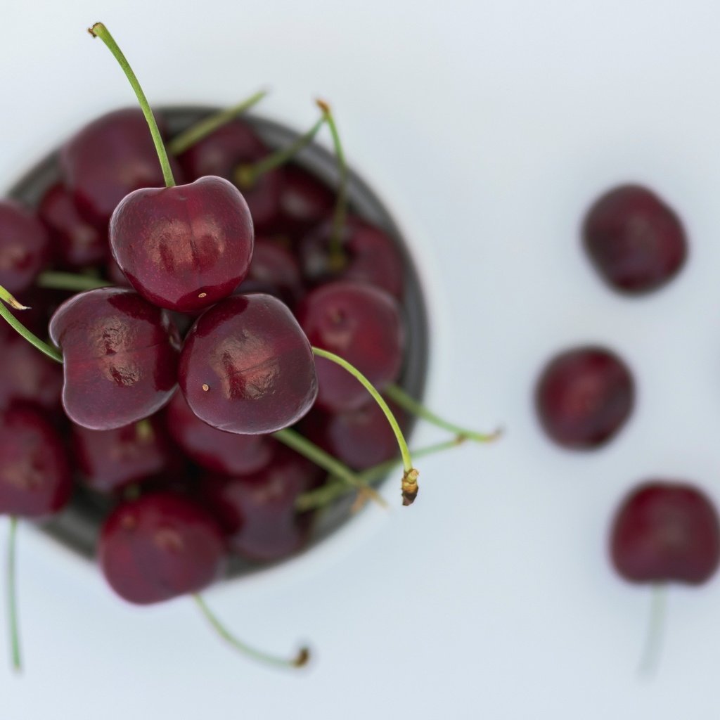 Обои макро, черешня, ягоды, вишня, вишни, macro, cherry, berries разрешение 2048x1419 Загрузить