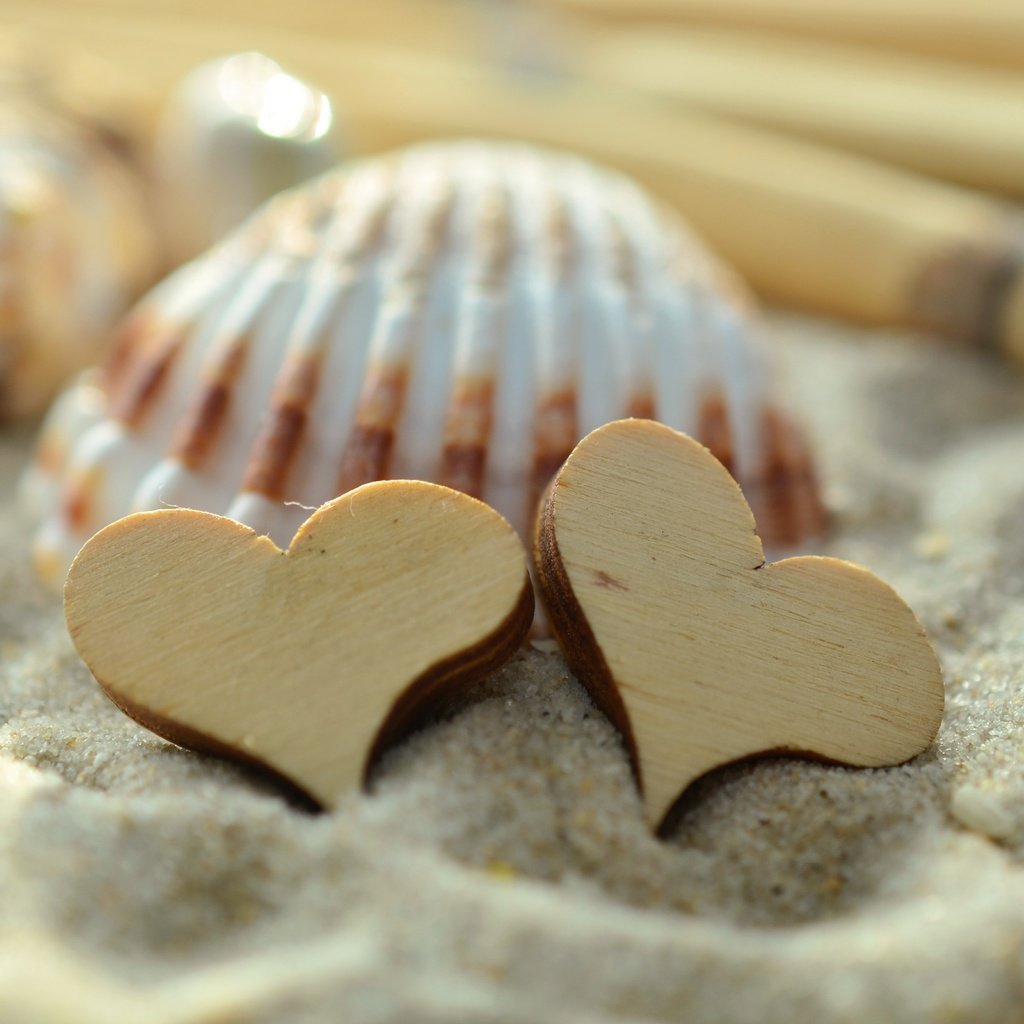 Обои песок, сердце, сердечки, ракушка, sand, heart, hearts, shell разрешение 4928x3264 Загрузить