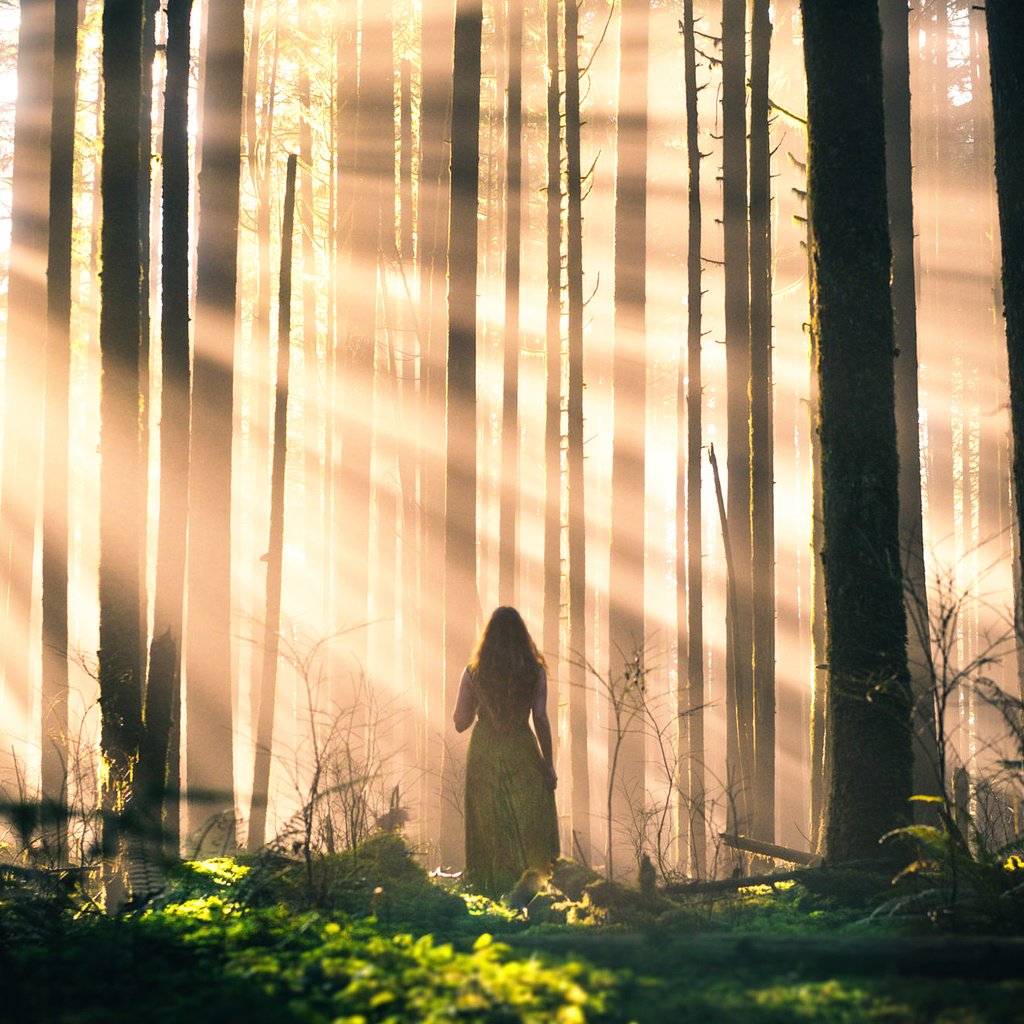 Одинокая девушка в лесу