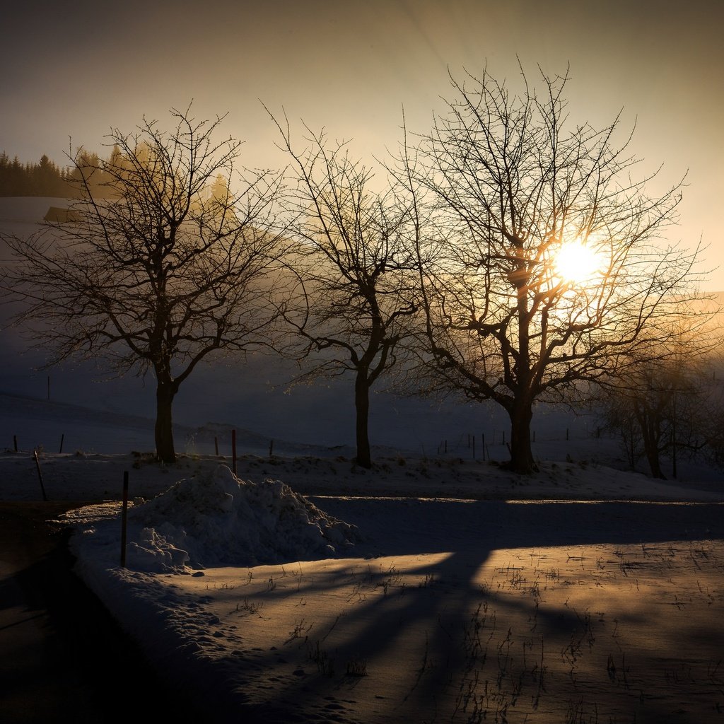 Обои свет, деревья, зима, утро, light, trees, winter, morning разрешение 2048x1365 Загрузить