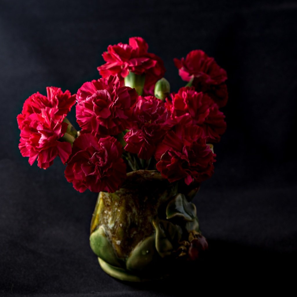 Обои темный фон, букет, гвоздики, the dark background, bouquet, clove разрешение 2048x1365 Загрузить