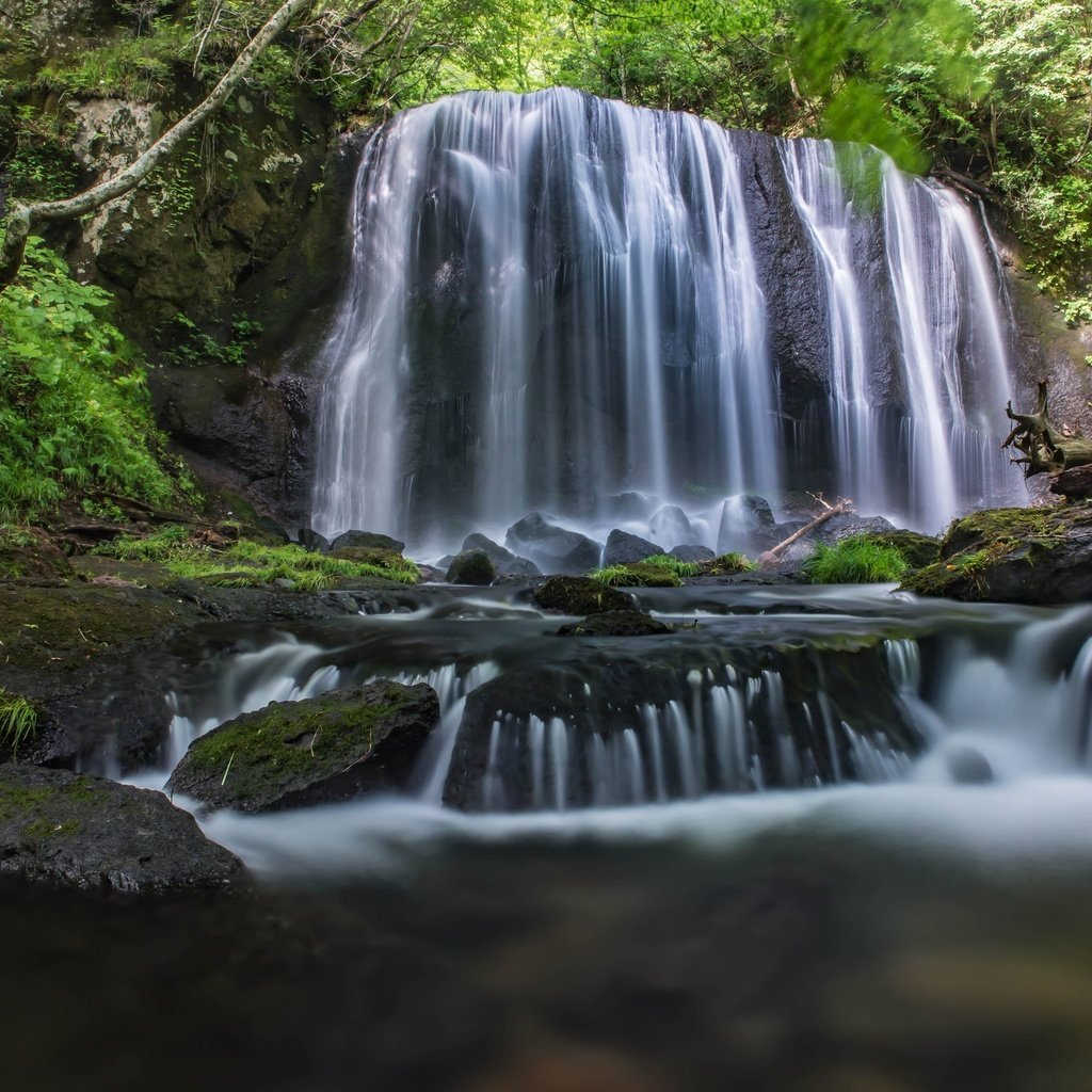 Обои деревья, вода, камни, листья, водопад, поток, мох, trees, water, stones, leaves, waterfall, stream, moss разрешение 2048x1367 Загрузить