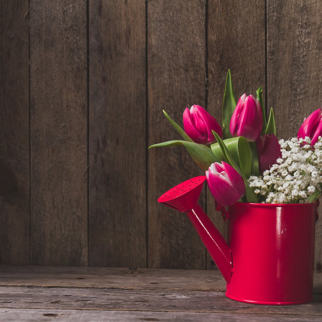 Обои цветы, тюльпаны, лейка, flowers, tulips, lake разрешение 5057x3371 Загрузить