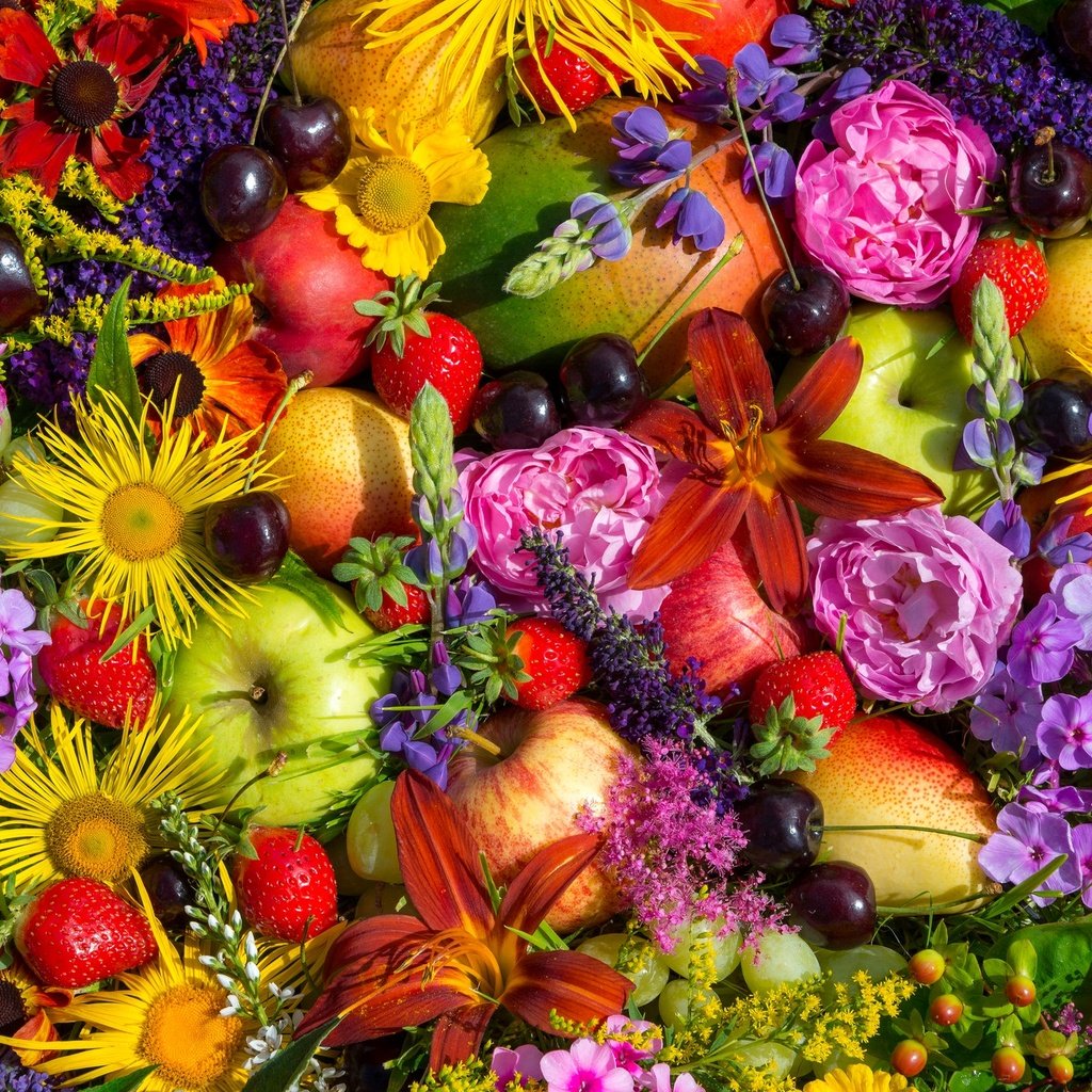 Обои цветы, фрукты, ягоды, композиция, flowers, fruit, berries, composition разрешение 2048x1367 Загрузить