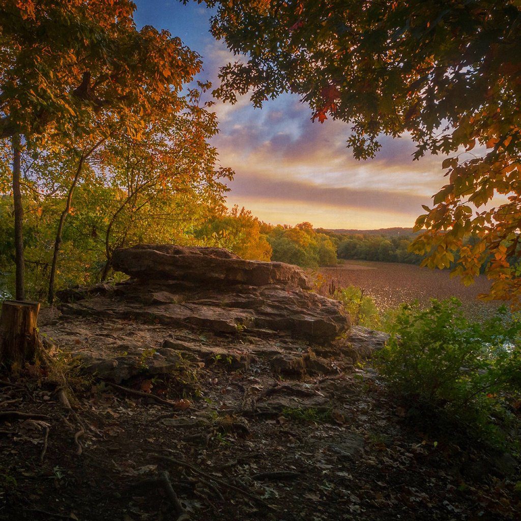 Обои природа, лес, парк, осень, nature, forest, park, autumn разрешение 1920x1200 Загрузить