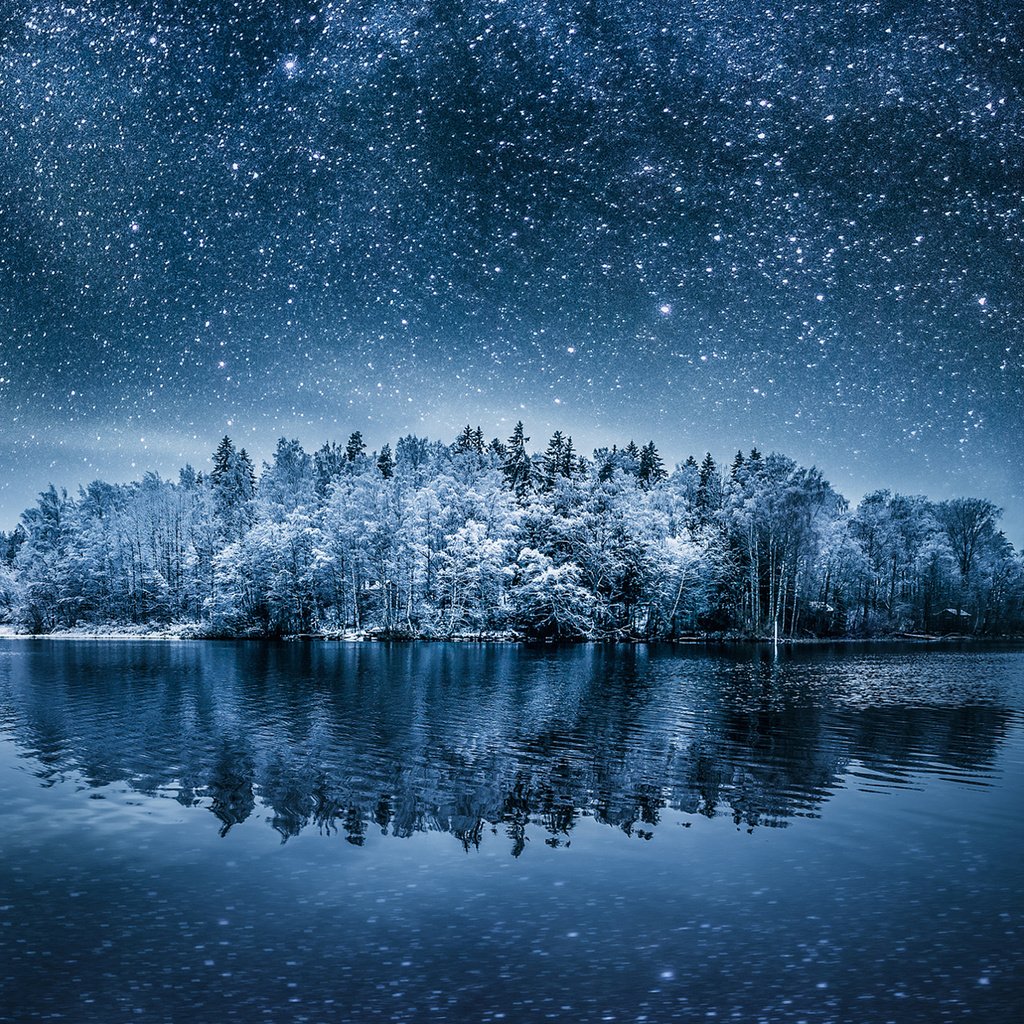 Обои ночь, озеро, природа, лес, зима, пейзаж, звезды, night, lake, nature, forest, winter, landscape, stars разрешение 1920x1200 Загрузить