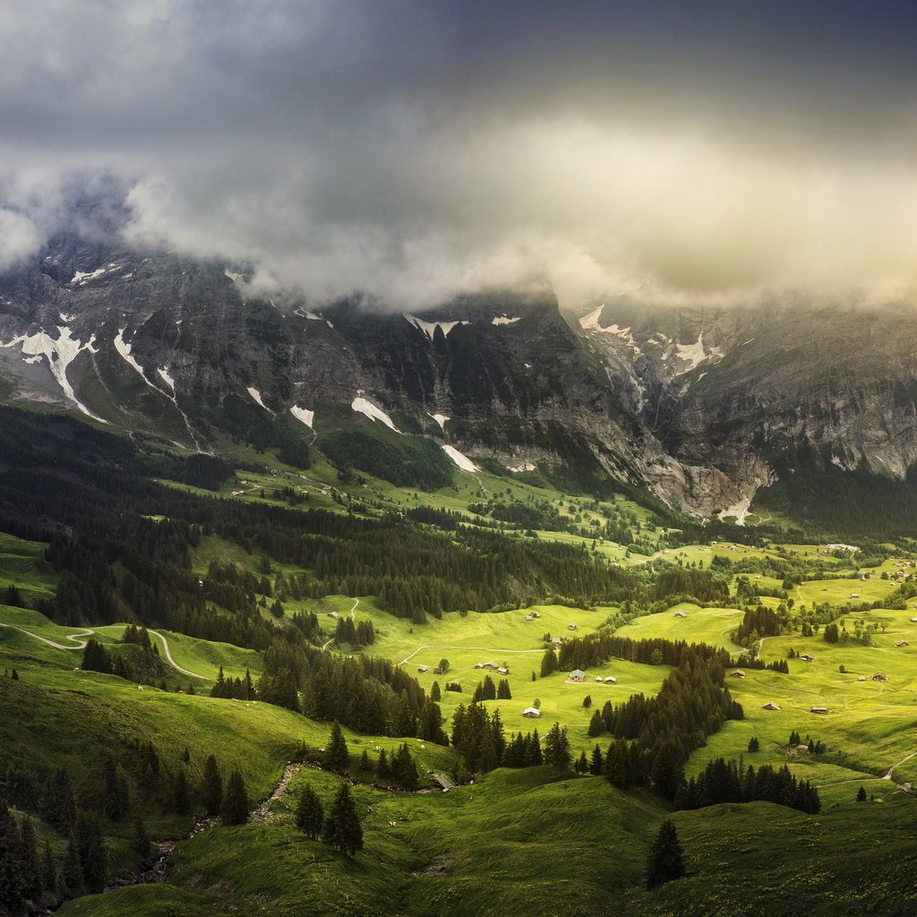 Обои трава, горы, пейзаж, швейцария, луг, grass, mountains, landscape, switzerland, meadow разрешение 3216x2001 Загрузить
