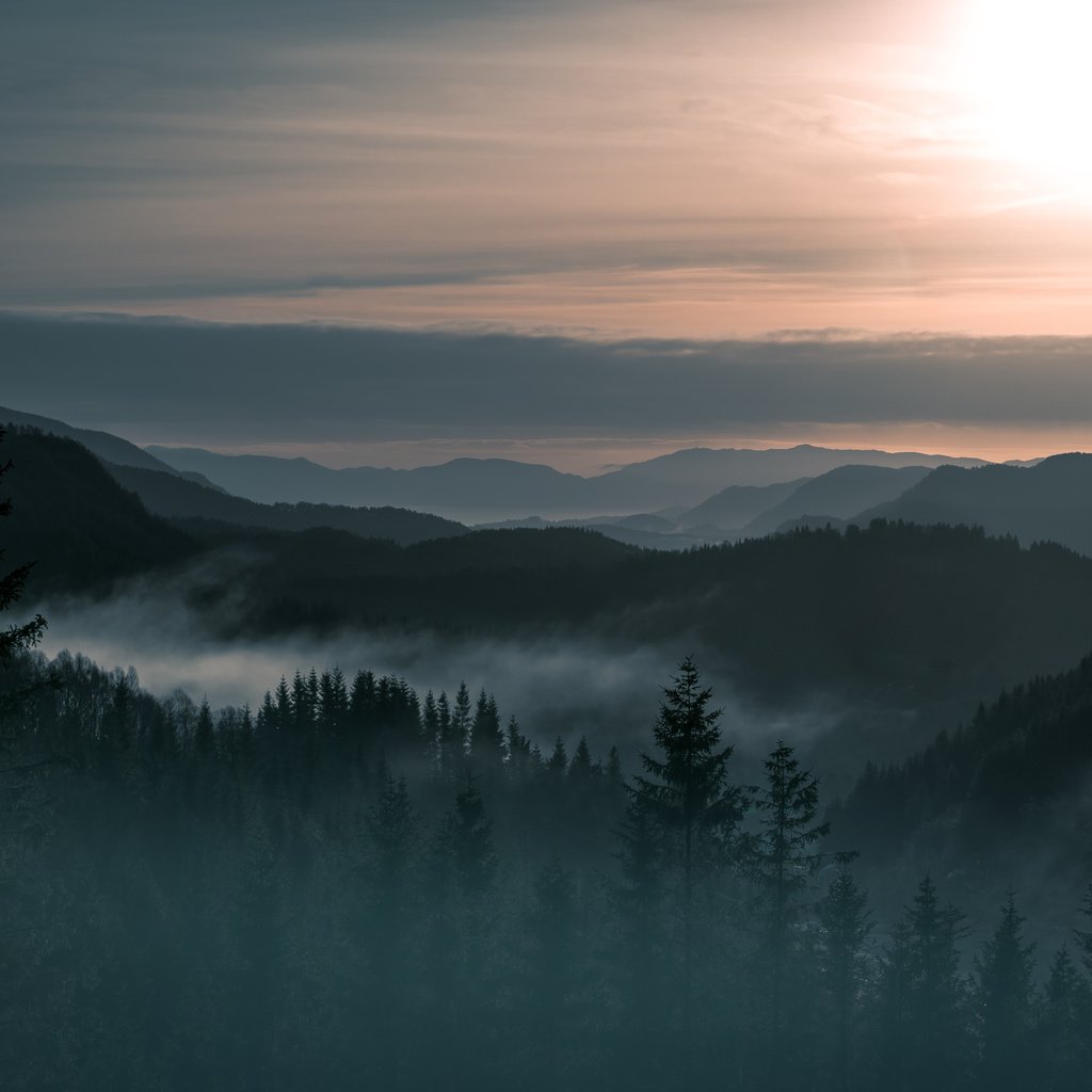 Обои деревья, горы, лес, пейзаж, туман, норвегия, trees, mountains, forest, landscape, fog, norway разрешение 4903x3369 Загрузить