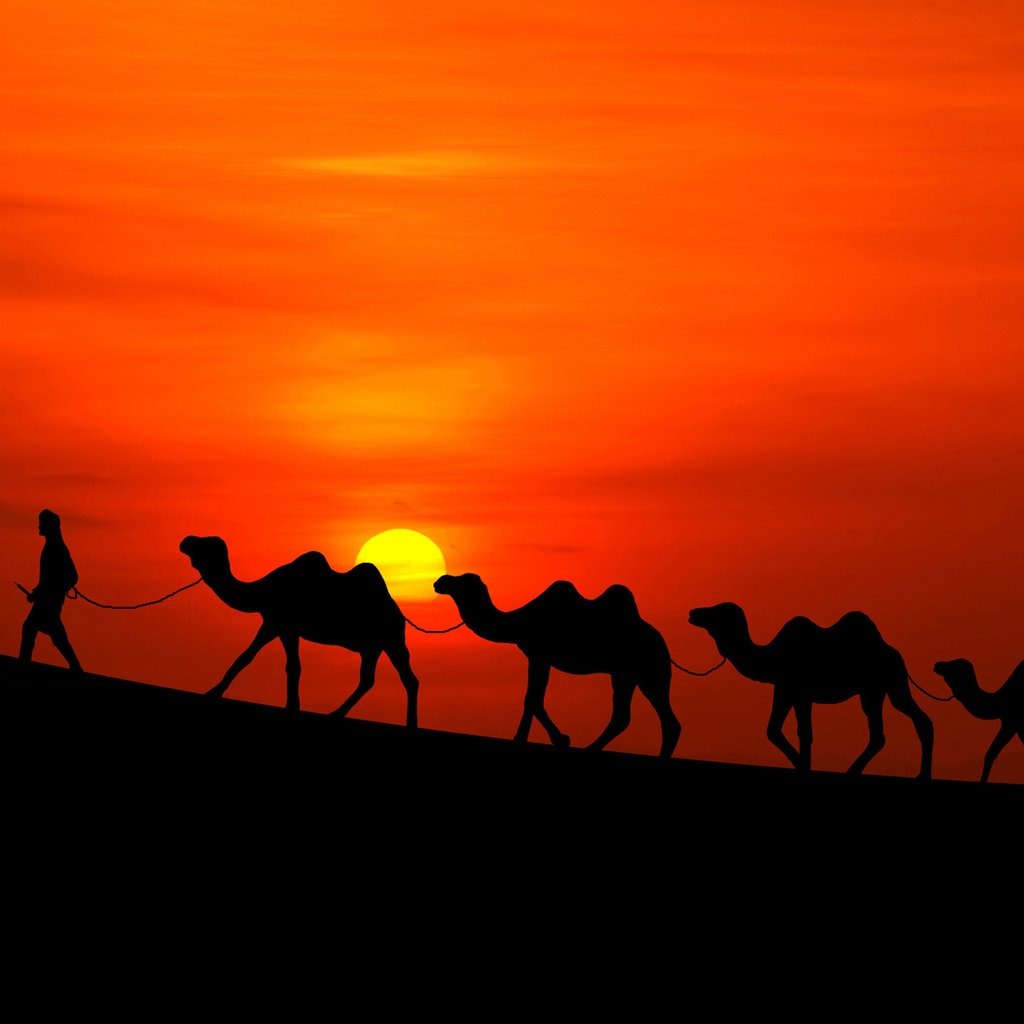 Обои солнце, закат, пустыня, человек, караван, верблюды, the sun, sunset, desert, people, caravan, camels разрешение 2160x1622 Загрузить