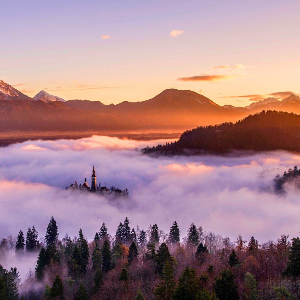 Обои небо, деревья, горы, лес, закат, туман, the sky, trees, mountains, forest, sunset, fog разрешение 2880x1920 Загрузить