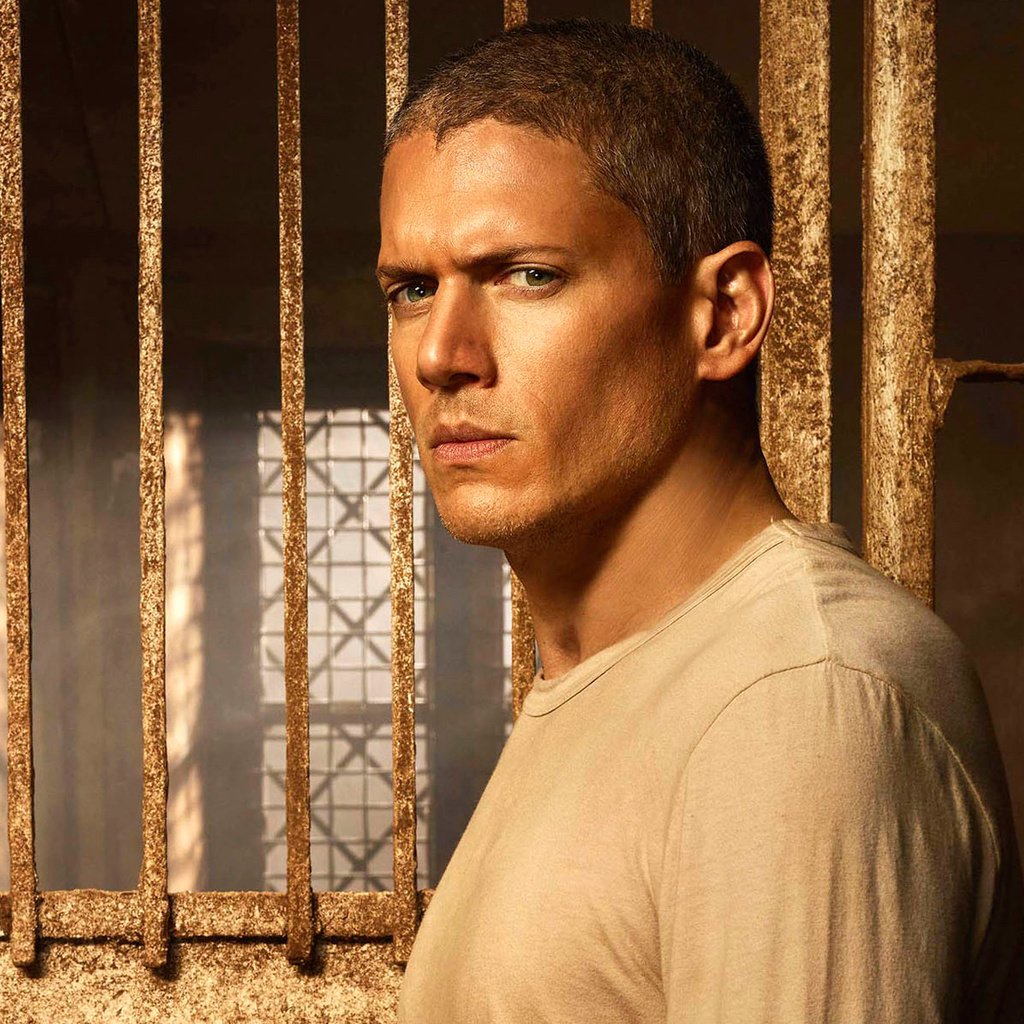 Обои взгляд, актёр, лицо, prison break, вентворт миллер, michael scofield, look, actor, face, wentworth miller разрешение 2124x1195 Загрузить