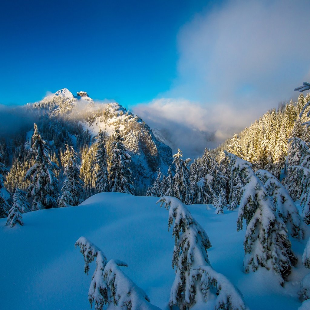 Обои небо, деревья, горы, снег, природа, лес, зима, солнечный день, the sky, trees, mountains, snow, nature, forest, winter, sunny day разрешение 3600x2400 Загрузить