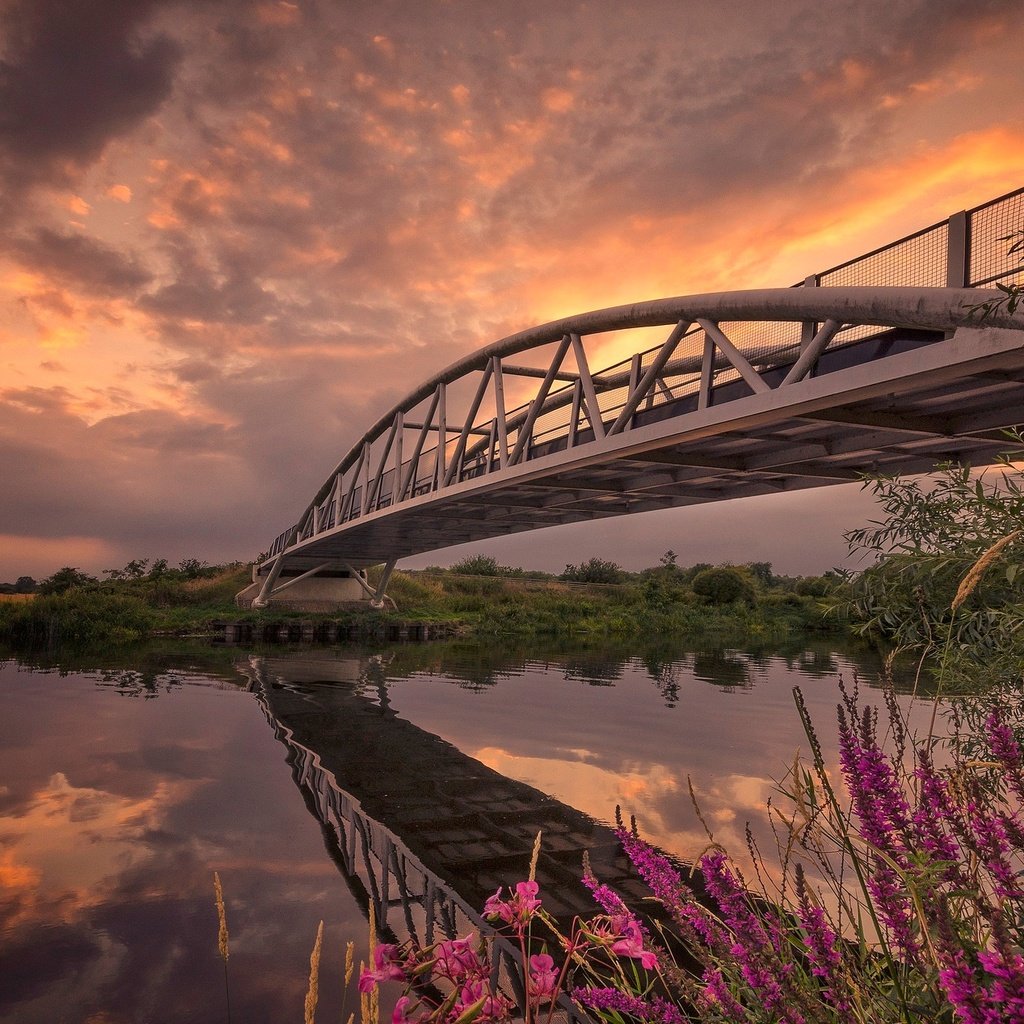 Обои небо, цветы, облака, река, отражение, мост, the sky, flowers, clouds, river, reflection, bridge разрешение 2048x1267 Загрузить