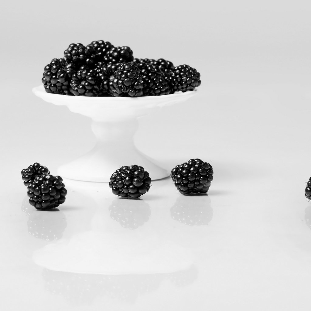 Обои фон, еда, ягоды, белый фон, ежевика, background, food, berries, white background, blackberry разрешение 2560x1709 Загрузить