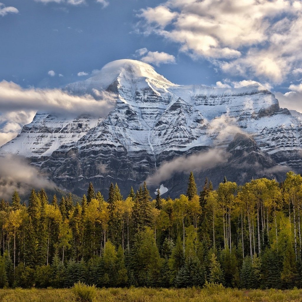 Обои небо, облака, деревья, горы, природа, пейзаж, the sky, clouds, trees, mountains, nature, landscape разрешение 1920x1082 Загрузить