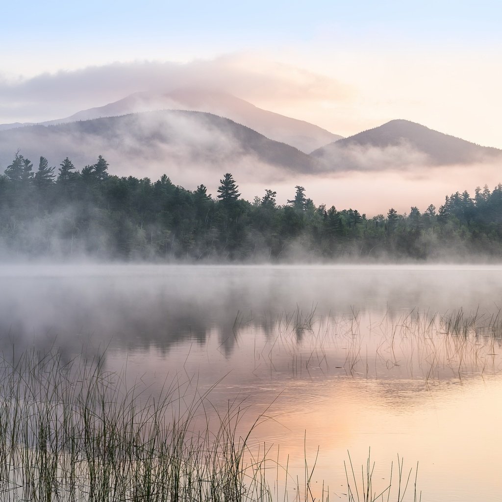 Обои деревья, озеро, горы, отражение, утро, туман, trees, lake, mountains, reflection, morning, fog разрешение 2048x1367 Загрузить