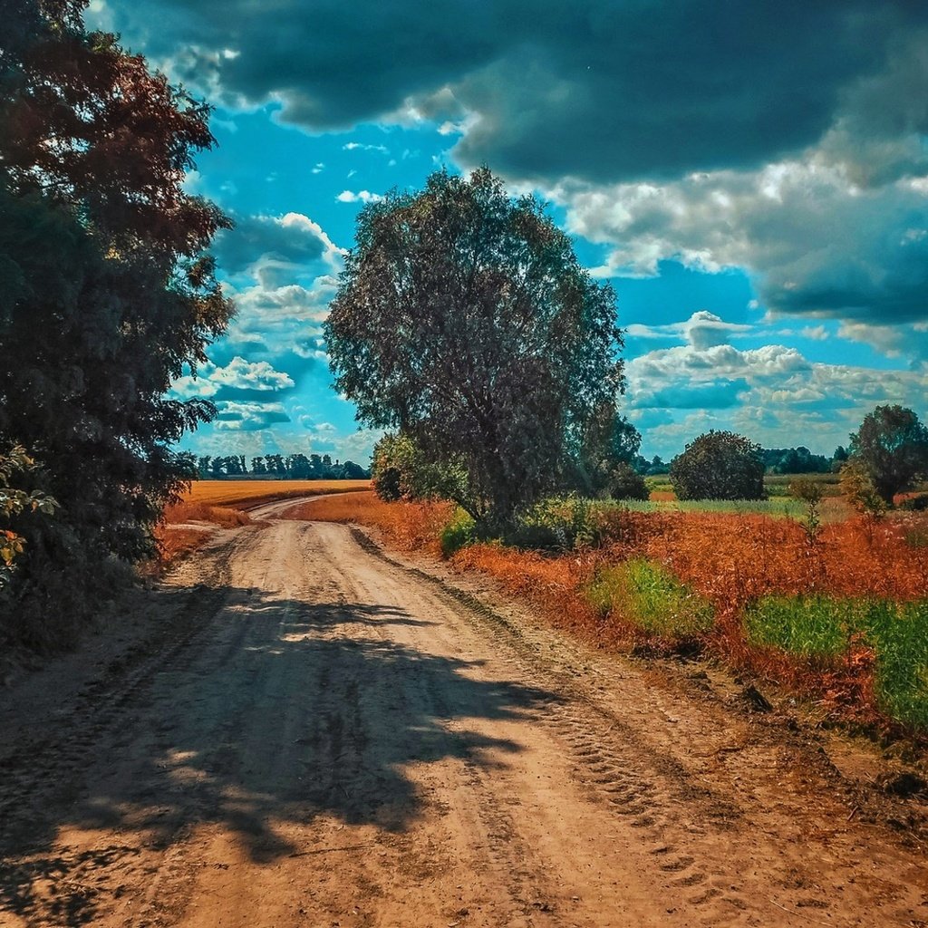 Обои небо, дорога, облака, деревья, природа, пейзаж, the sky, road, clouds, trees, nature, landscape разрешение 1920x1098 Загрузить