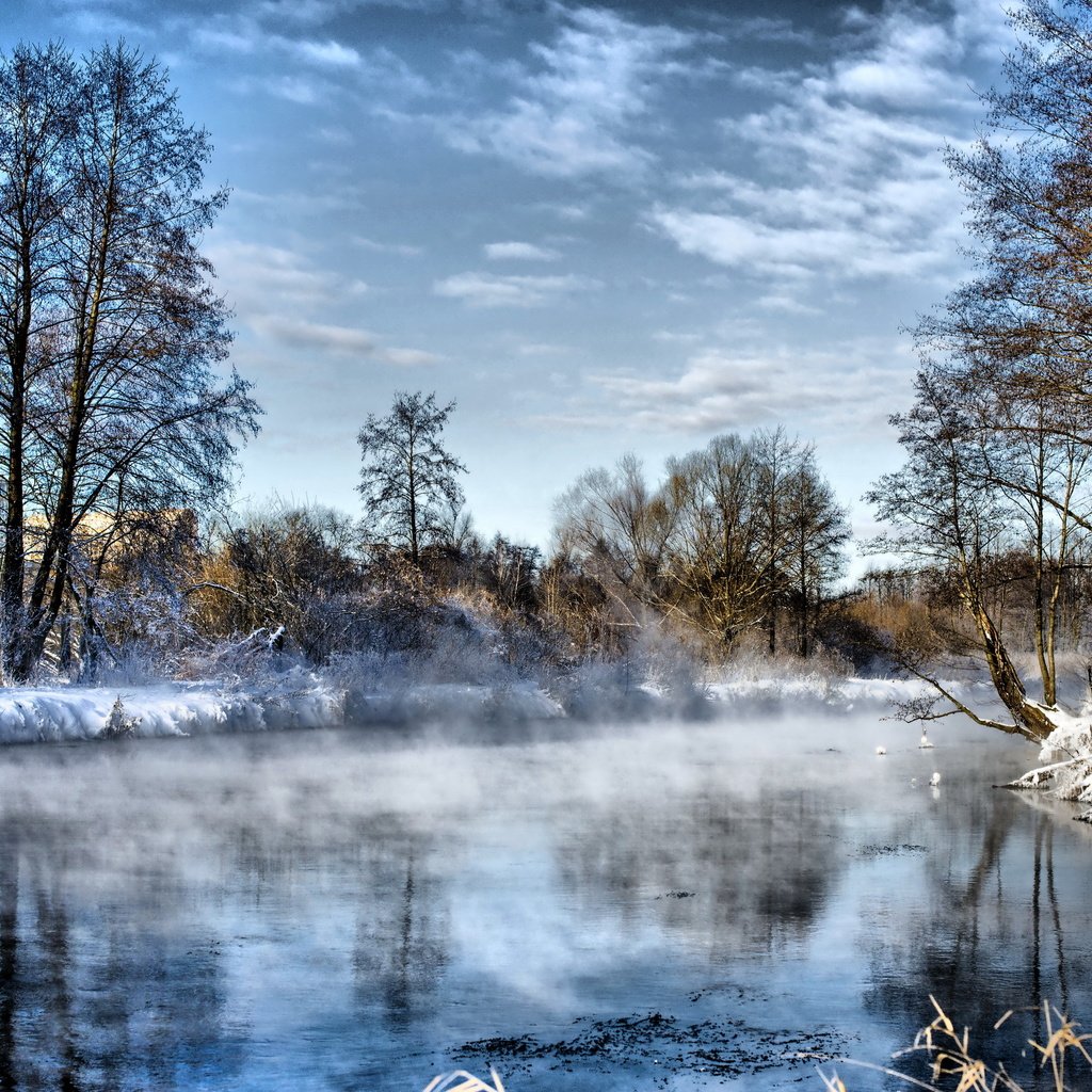 Обои небо, облака, деревья, река, снег, зима, туман, иней, the sky, clouds, trees, river, snow, winter, fog, frost разрешение 2560x1600 Загрузить