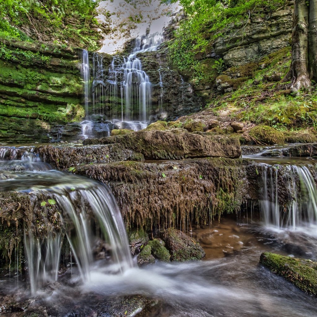 Обои скалы, камни, ручей, водопад, каскад, rocks, stones, stream, waterfall, cascade разрешение 2048x1171 Загрузить