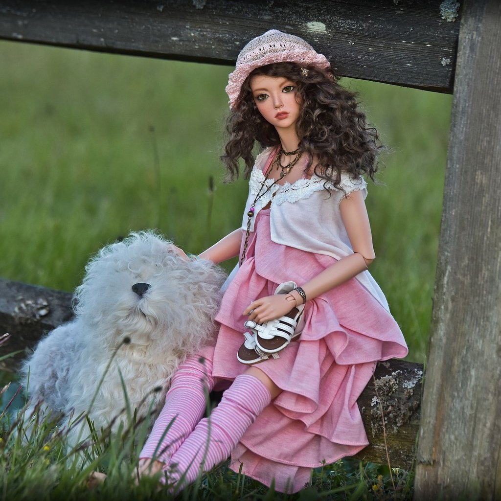 Обои трава, забор, собака, кукла, волосы, лицо, игрушки, шляпка, grass, the fence, dog, doll, hair, face, toys, hat разрешение 2000x1334 Загрузить