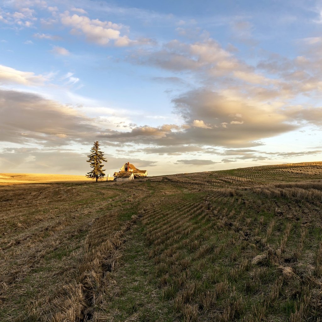 Обои небо, дом, свет, облака, природа, дерево, утро, поле, горизонт, the sky, house, light, clouds, nature, tree, morning, field, horizon разрешение 2048x1367 Загрузить