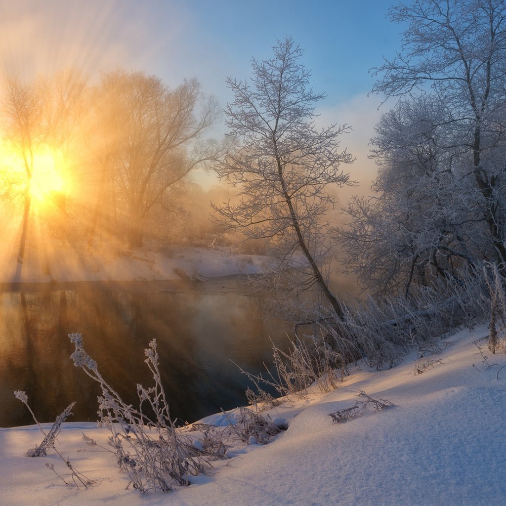 Обои солнце, снег, природа, лес, зима, утро, zhmak evgeniy, the sun, snow, nature, forest, winter, morning разрешение 1920x1200 Загрузить