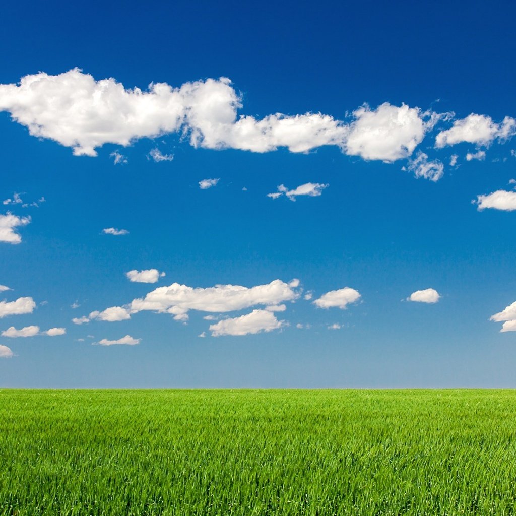 Обои небо, облака, природа, пейзаж, поле, лето, the sky, clouds, nature, landscape, field, summer разрешение 1920x1200 Загрузить