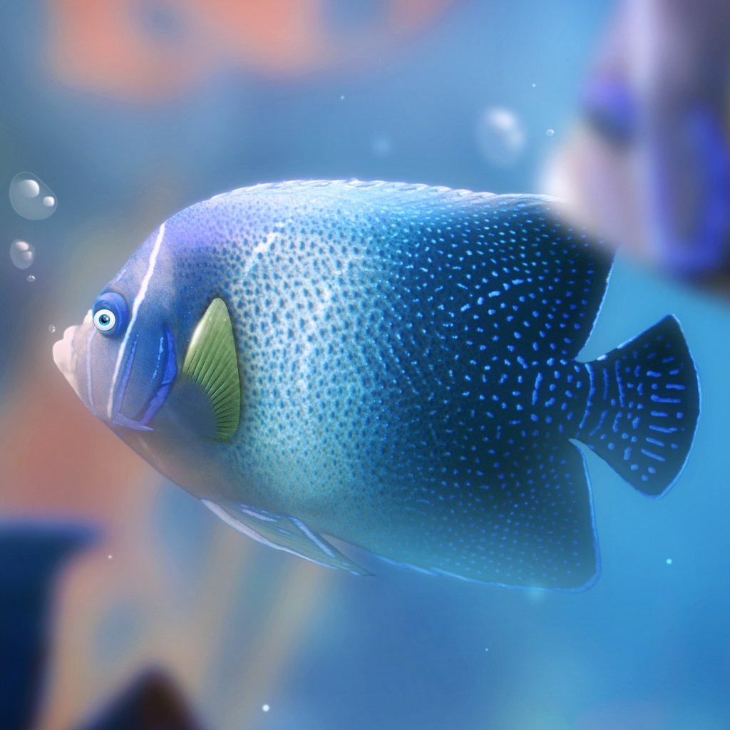 Обои пузыри, аквариум, рыба, bubbles, aquarium, fish разрешение 2560x1440 Загрузить