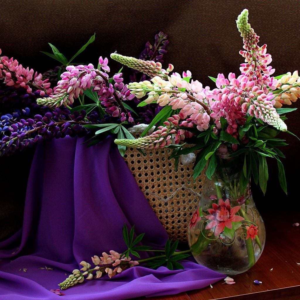 Обои цветы, лето, букет, натюрморт, люпины, flowers, summer, bouquet, still life, lupins разрешение 2000x1350 Загрузить