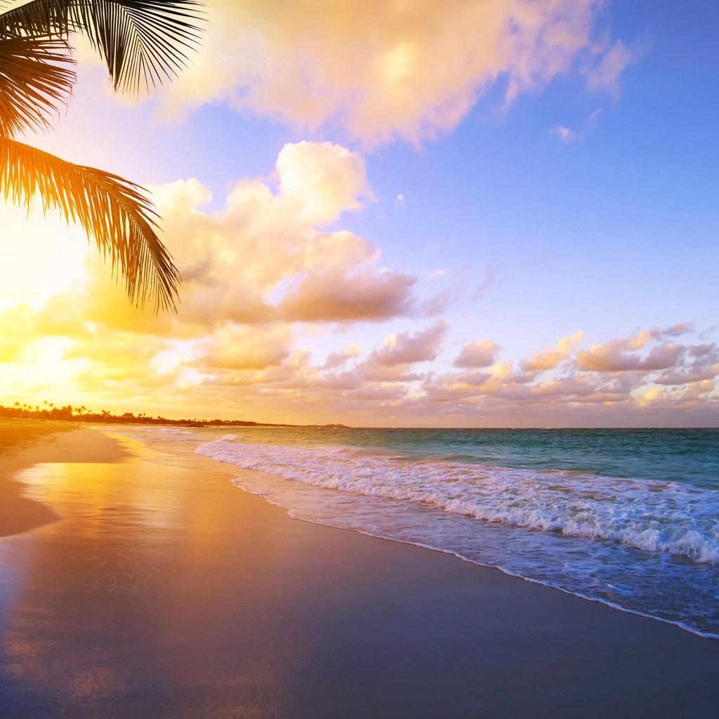Обои закат, море, пляж, тропики, sunset, sea, beach, tropics разрешение 4933x3262 Загрузить