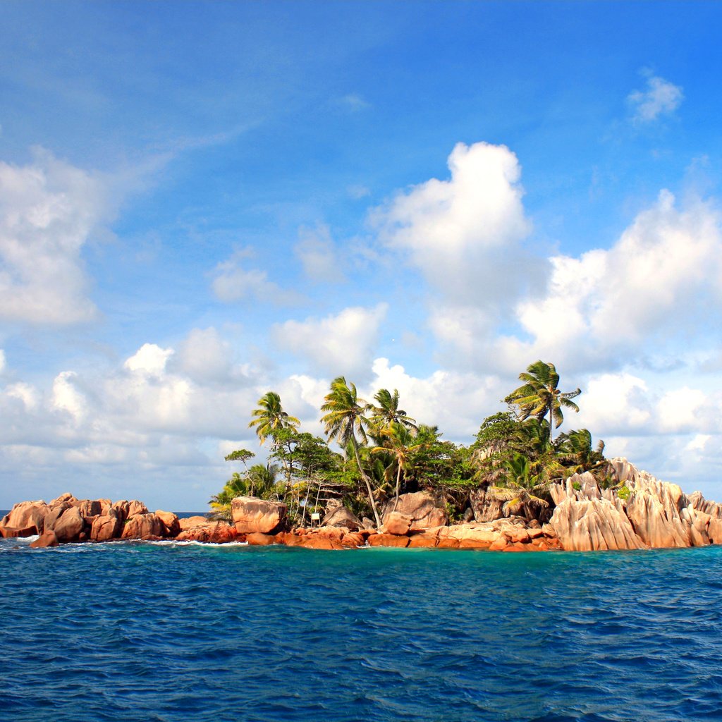 Обои море, остров, тропики, сейшелы, sea, island, tropics, seychelles разрешение 3773x2425 Загрузить