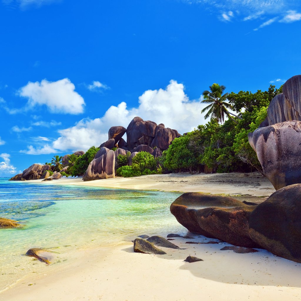 Обои море, пляж, тропики, сейшелы, sea, beach, tropics, seychelles разрешение 4246x2827 Загрузить