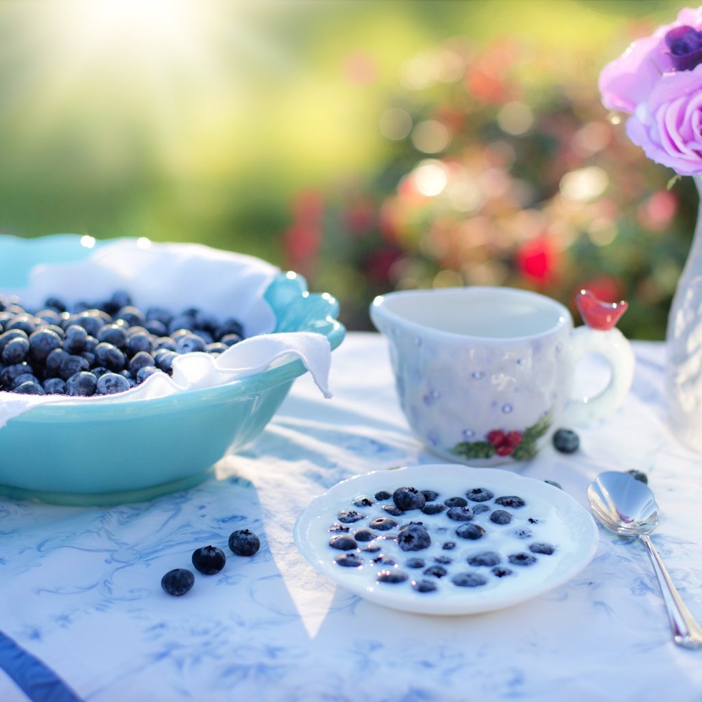 Обои ягоды, черника, посуда, молоко, berries, blueberries, dishes, milk разрешение 5248x3499 Загрузить